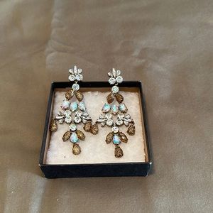 Beautiful Drop Earrings